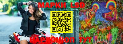 МДПВ Донецк
