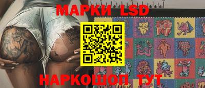 МДПВ Донецк