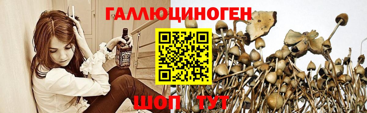 Галлюциногенные грибы ЛСД  Вход с VPN  Миллерово 